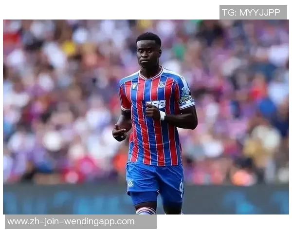 国米新援加盟前锋邦尼转会费2500万欧上赛季表现出色