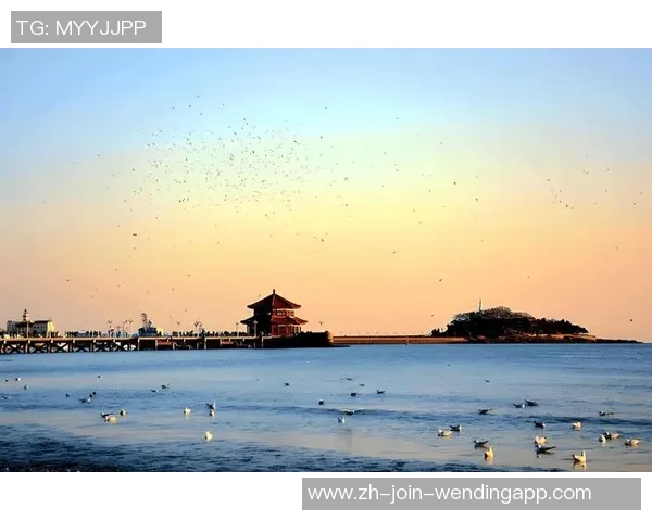 厦门与武汉城市魅力大比拼探寻两座城市的独特风情与发展潜力